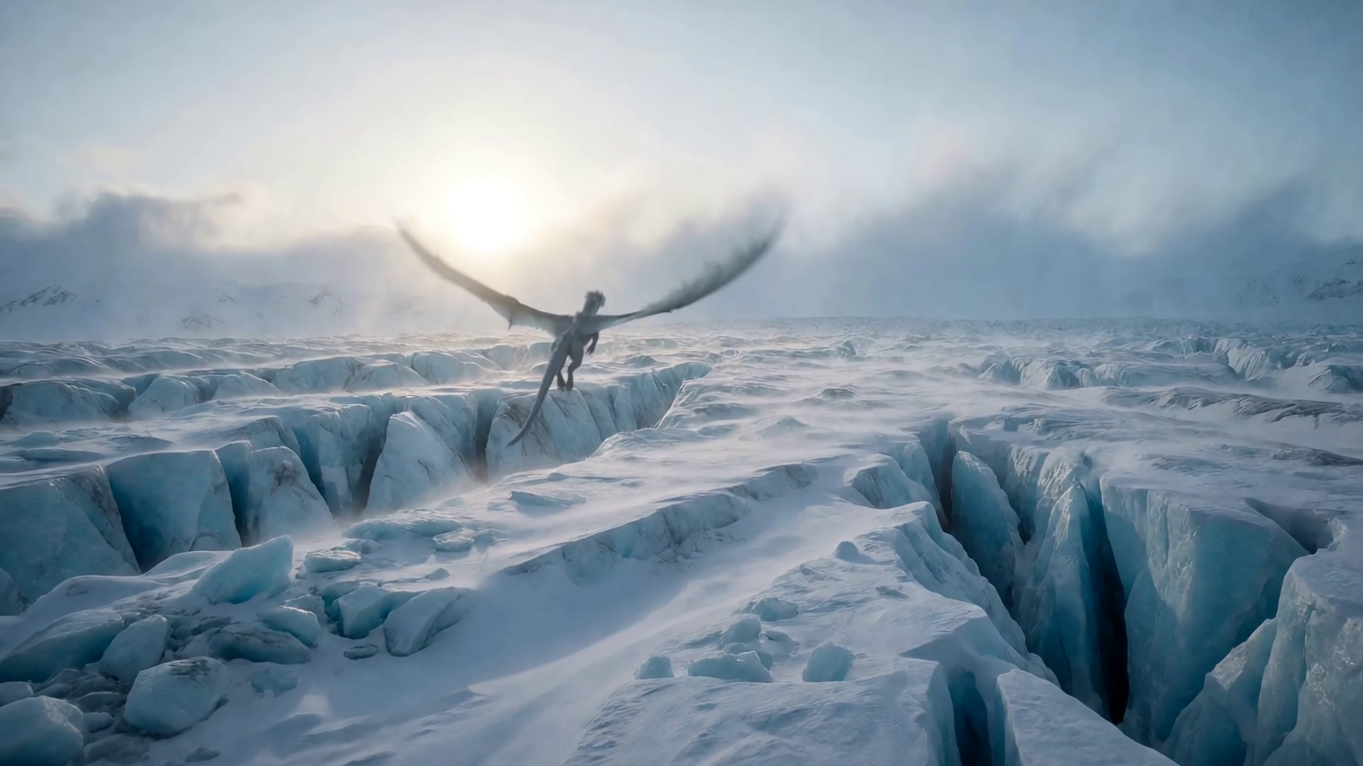 Frame aus dem finalen Video — ausgebreitete Flügel im Flug über dem Spaltenfeld